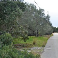 Land plot in Greece, Ionian Islands