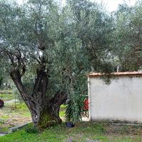 Другое в Греции, Ионические острова, 112 кв.м.