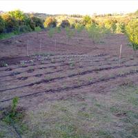 Land plot in Greece, Central Macedonia, Center