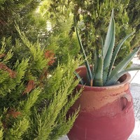 Other in Greece, Central Macedonia, Center, 250 sq.m.