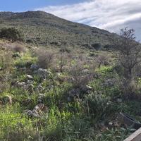 Land plot in Greece, Crete, Chania