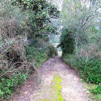 Земельный участок в Греции, Ионические острова