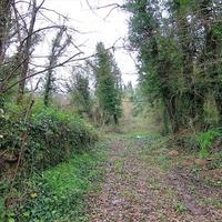 Земельный участок в Греции, Ионические острова