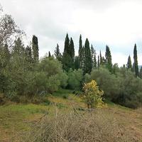 Земельный участок в Греции, Ионические острова