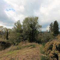 Земельный участок в Греции, Ионические острова