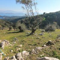 Land plot in Greece, Ionian Islands