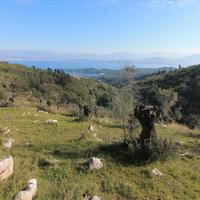 Land plot in Greece, Ionian Islands