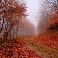 Земельный участок в Греции, Центральная Македония, Хал
