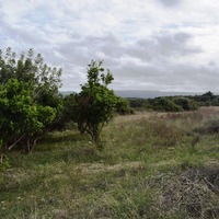 Земельный участок в Греции, Крит