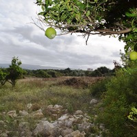 Земельный участок в Греции, Крит