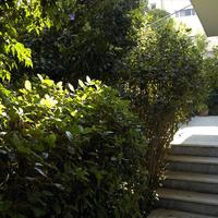 Другое в Греции, Аттика, Афины, 88 кв.м.