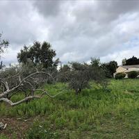 Land plot in Greece, Crete, Chania