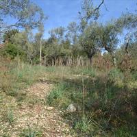 Земельный участок в Греции, Ионические острова