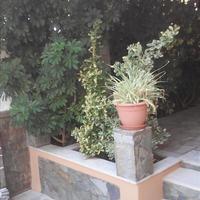 Other in Greece, Crete, 180 sq.m.