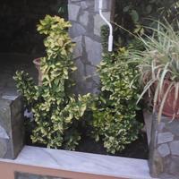 Other in Greece, Crete, 180 sq.m.