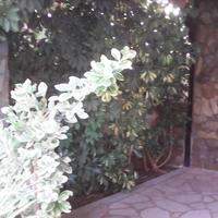 Other in Greece, Crete, 180 sq.m.