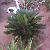 Other in Greece, Crete, 180 sq.m.