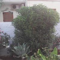 Other in Greece, Crete, 180 sq.m.