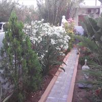 Other in Greece, Crete, 180 sq.m.