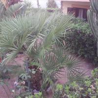 Other in Greece, Crete, 180 sq.m.