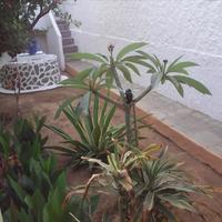 Other in Greece, Crete, 180 sq.m.