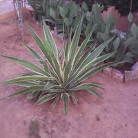 Other in Greece, Crete, 180 sq.m.