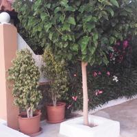 Other in Greece, Crete, 180 sq.m.