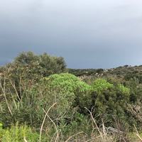 Земельный участок в Греции, Крит, Ханья