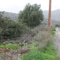 Земельный участок в Греции, Крит