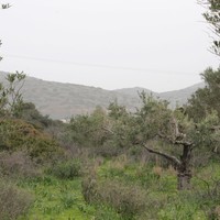 Земельный участок в Греции, Крит