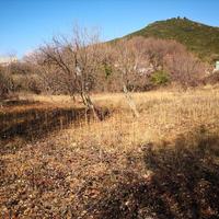 Земельный участок в Греции, Центральная Македония, Хал