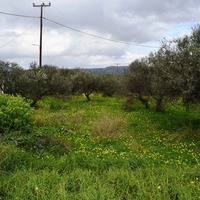 Земельный участок в Греции, Крит, Ханья