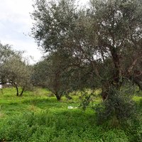 Земельный участок в Греции, Крит, Ханья