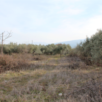 Земельный участок в Греции, Центральная Македония, Центр