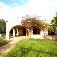 Другое в Греции, Пелопоннес, Kori, 110 кв.м.