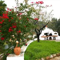 Другое в Греции, Пелопоннес, Kori, 110 кв.м.