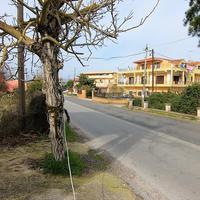 Other in Greece, Ionian Islands, 240 sq.m.