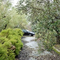 Другое в Греции, Центральная Македония, Центр, 250 кв.м.