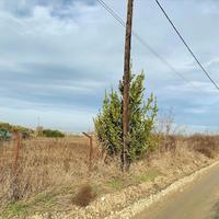 Земельный участок в Греции, Центральная Македония, Центр, 8500 кв.м.