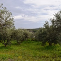 Земельный участок в Греции, Крит, Ханья