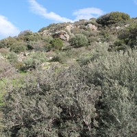 Земельный участок в Греции, Крит