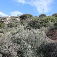 Земельный участок в Греции, Крит