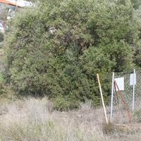 Земельный участок в Греции, Центральная Македония, Центр