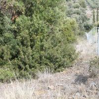 Земельный участок в Греции, Центральная Македония, Центр