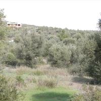 Земельный участок в Греции, Центральная Македония, Центр