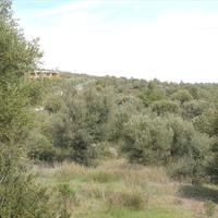 Земельный участок в Греции, Центральная Македония, Центр