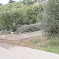 Земельный участок в Греции, Центральная Македония, Центр