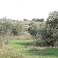 Земельный участок в Греции, Центральная Македония, Центр