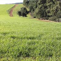 Земельный участок в Греции, Центральная Македония, Центр