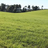 Земельный участок в Греции, Центральная Македония, Центр